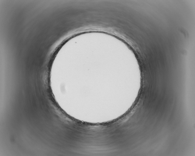 X0000110761502200907271133