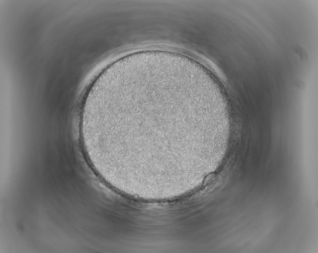 X0000110761504200907271133
