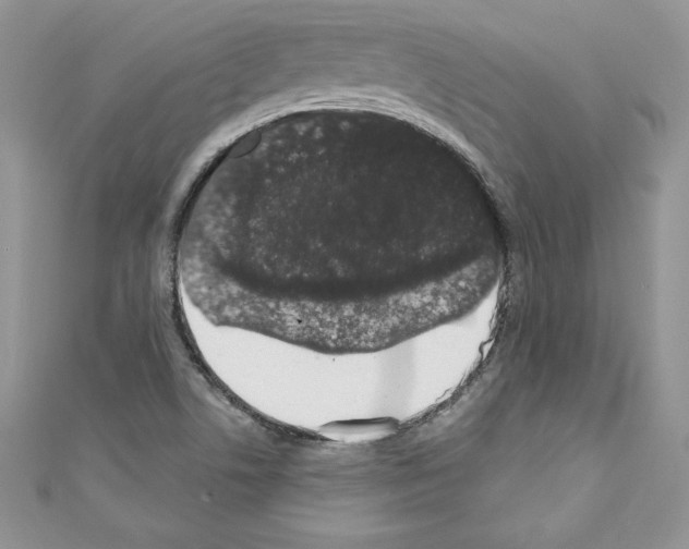 X0000110761506200907271133