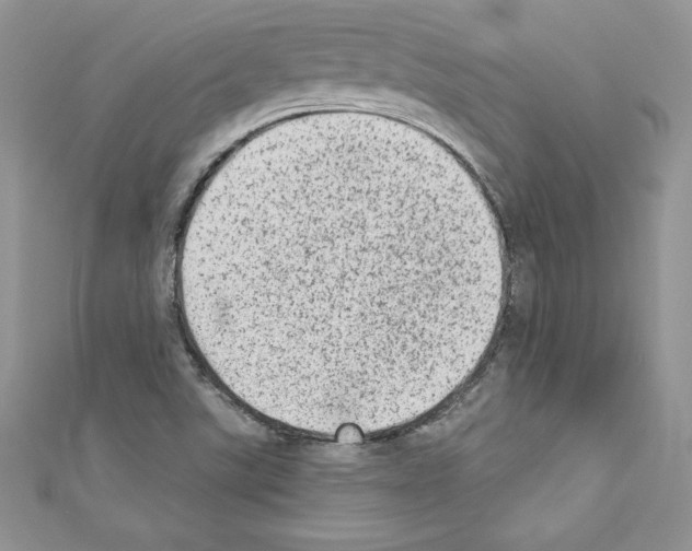 X0000110761507200907271133