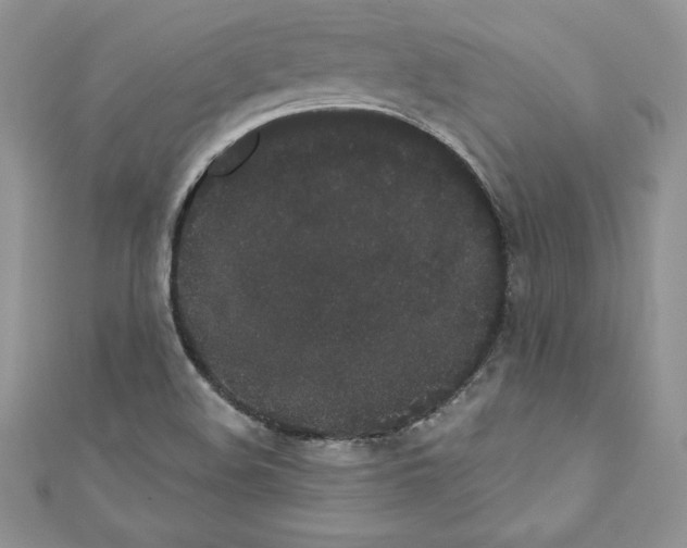X0000110761508200907271133