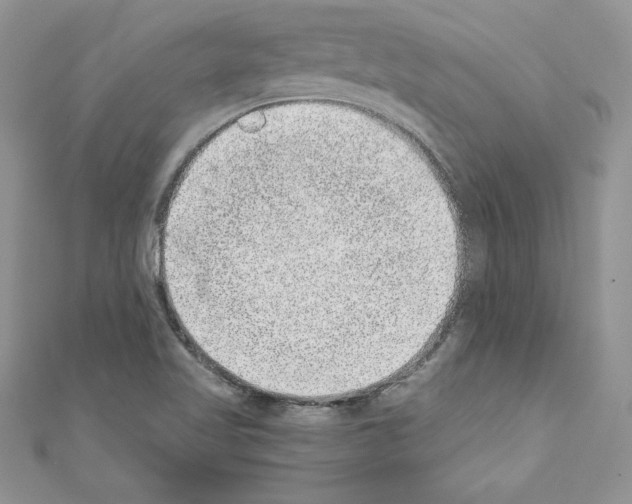 X0000110761509200907271133