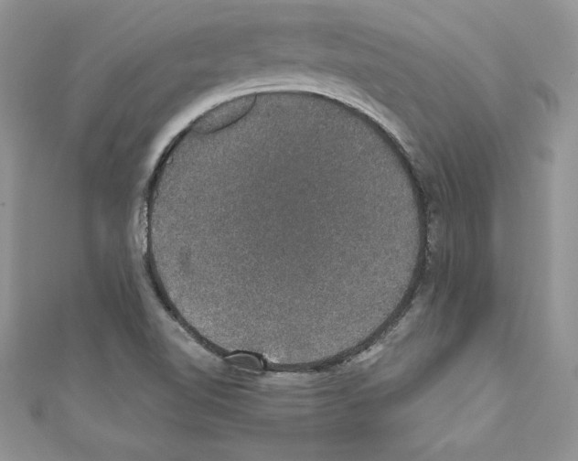 X0000110761510200907271133