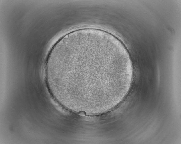 X0000110761511200907271133