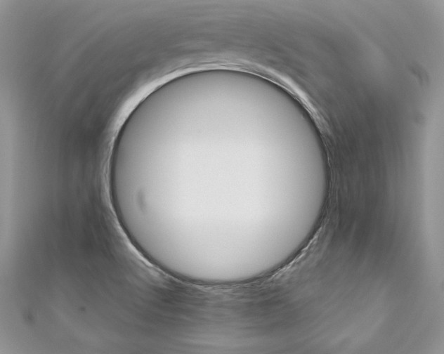 X0000110761512200907271133