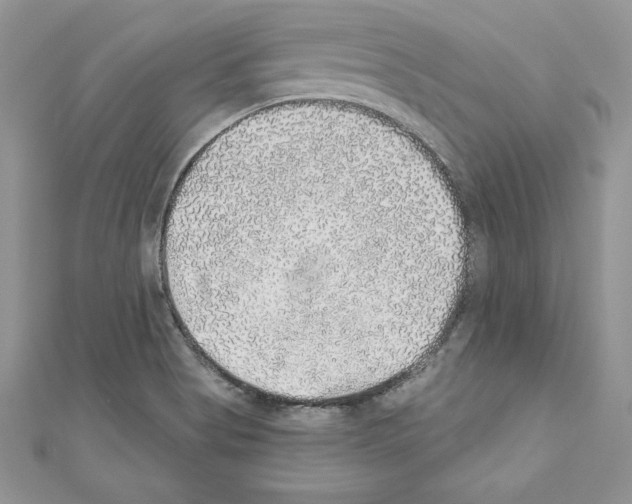 X0000110761513200907271133