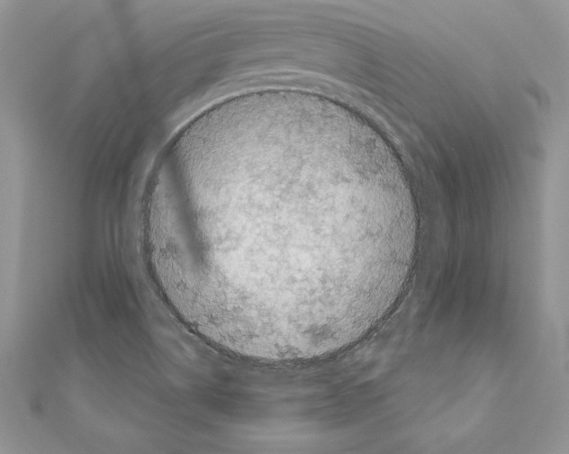 X0000110761514200907271133