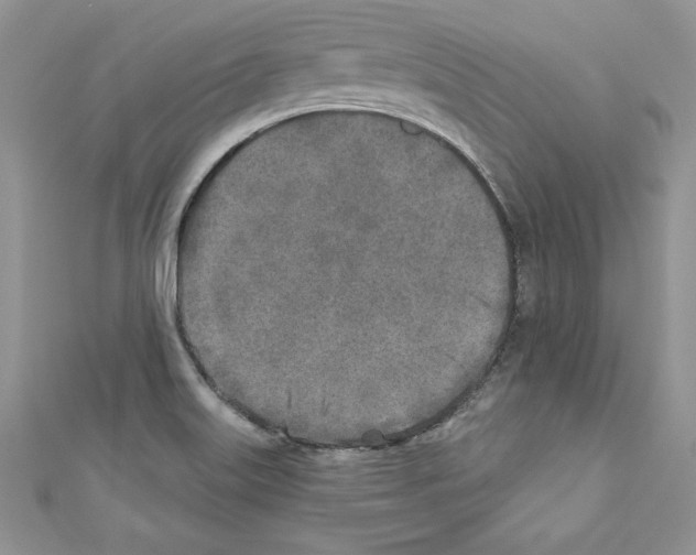 X0000110761515200907271133