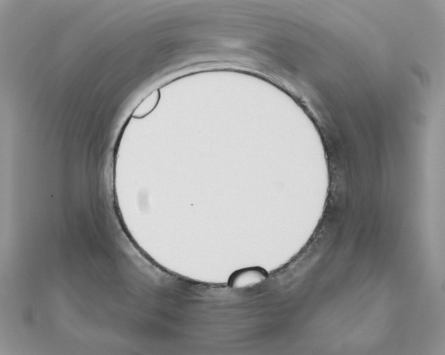 X0000110761516200907271133