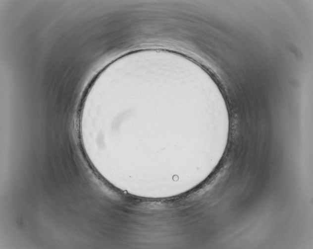 X0000110761517200907271133