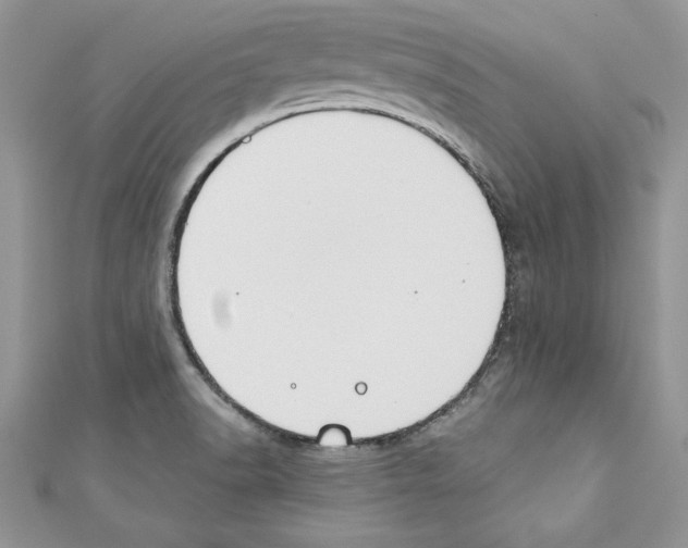 X0000110761518200907271133