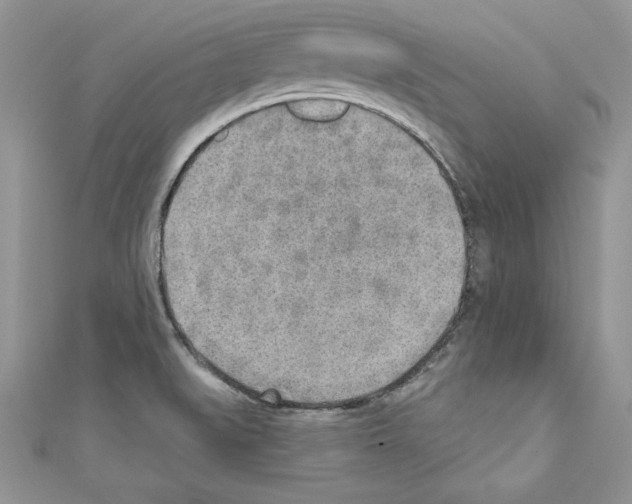X0000110761519200907271133