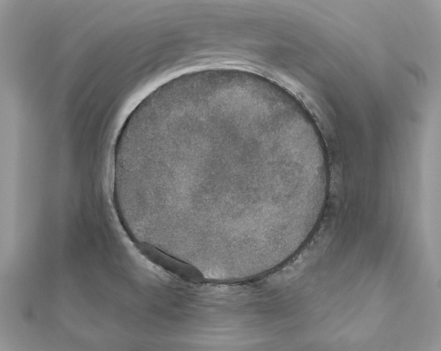 X0000110761520200907271133