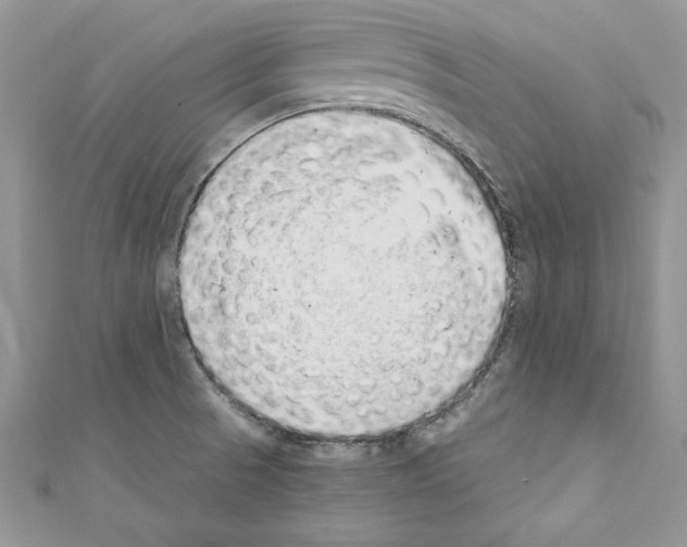 X0000110761521200907271133