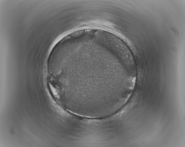X0000110761522200907271133