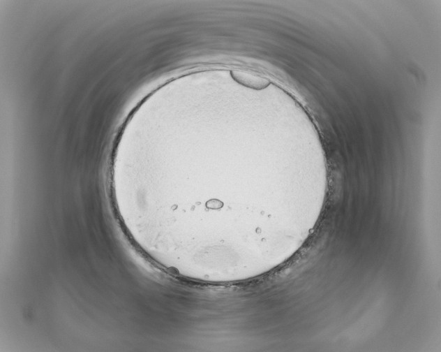 X0000110761523200907271133