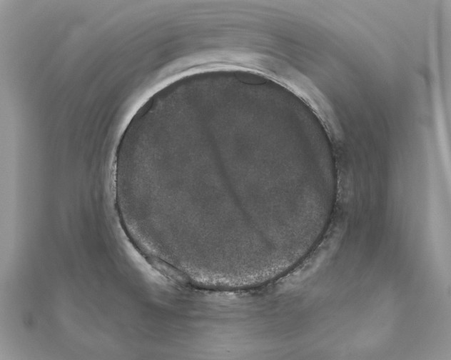 X0000110761524200907271133