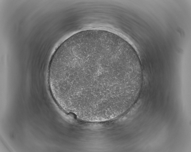 X0000110761525200907271133