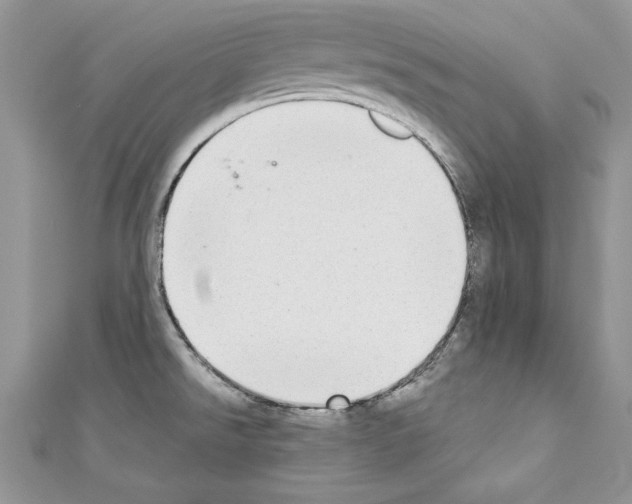 X0000110761526200907271133