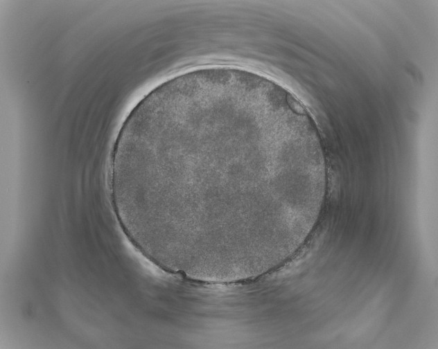 X0000110761527200907271133
