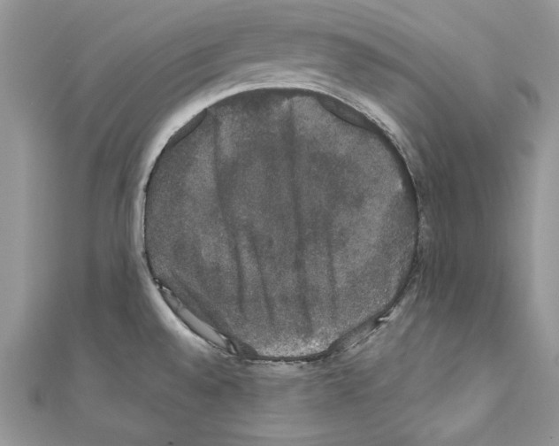 X0000110761528200907271133