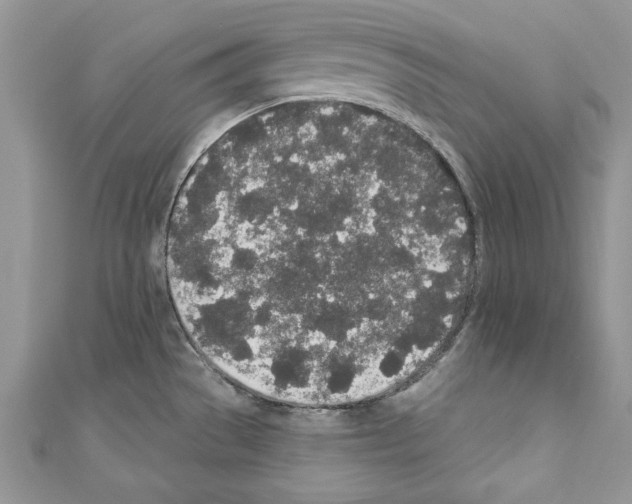 X0000110761529200907271133
