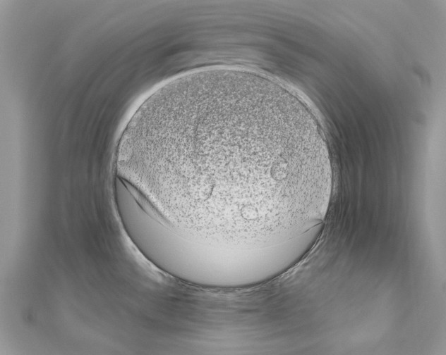 X0000110761532200907271133