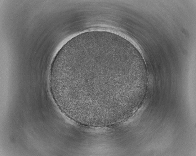 X0000110761533200907271133