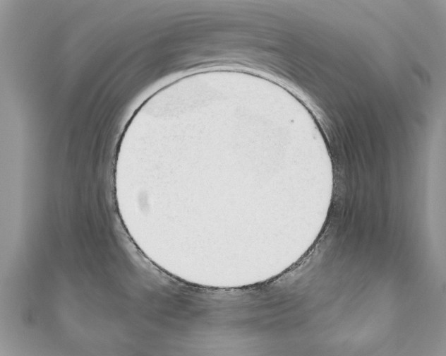 X0000110761534200907271133