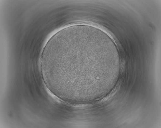 X0000110761535200907271133