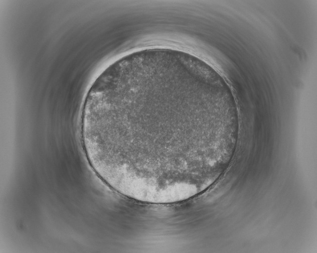 X0000110761536200907271133
