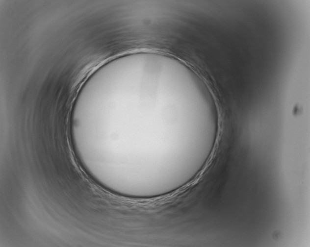 X0000110770001200906151005