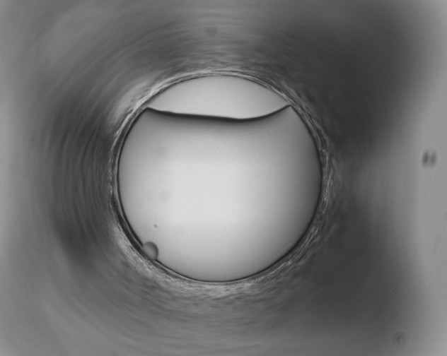 X0000110770002200906151005
