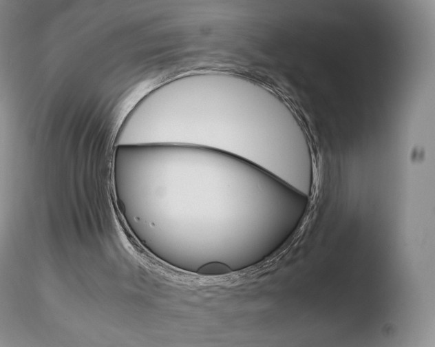 X0000110770003200906151005