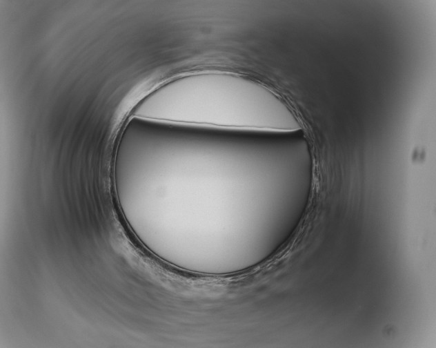 X0000110770004200906151005