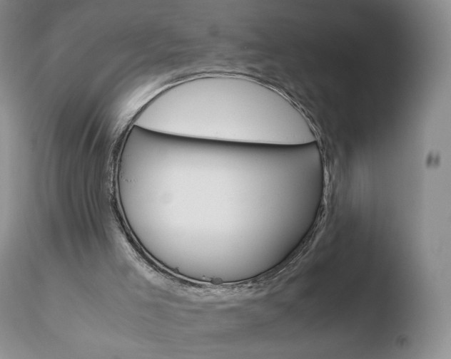 X0000110770005200906151005