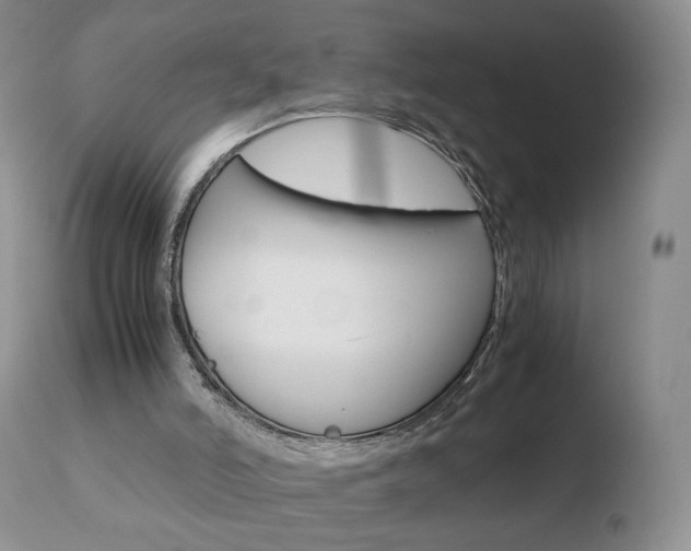 X0000110770006200906151005