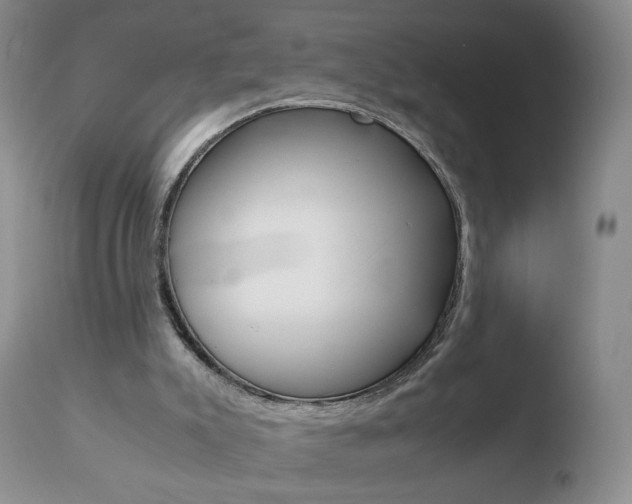 X0000110770007200906151005