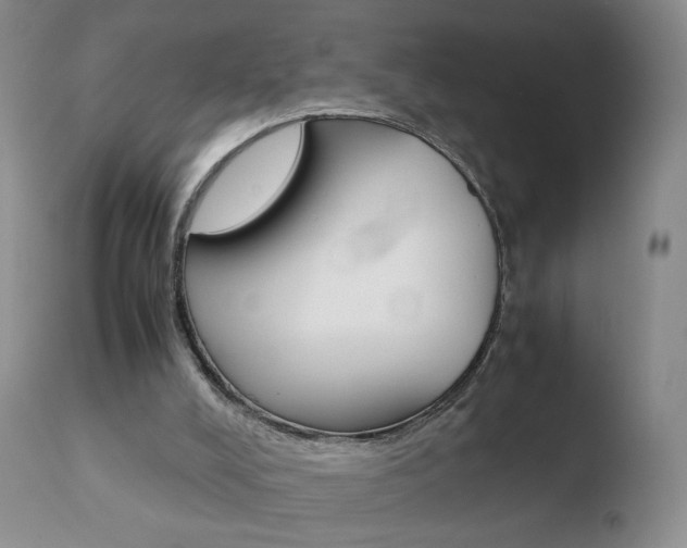 X0000110770008200906151005