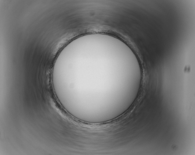X0000110770010200906151005