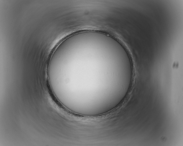 X0000110770011200906151005