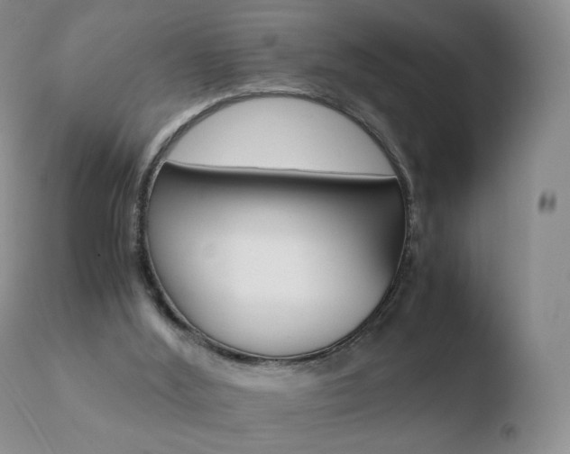 X0000110770012200906151005
