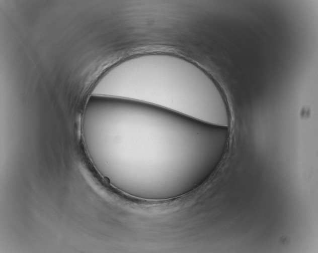 X0000110770013200906151005