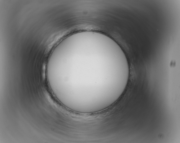 X0000110770014200906151005