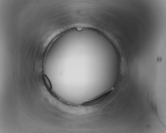 X0000110770015200906151005