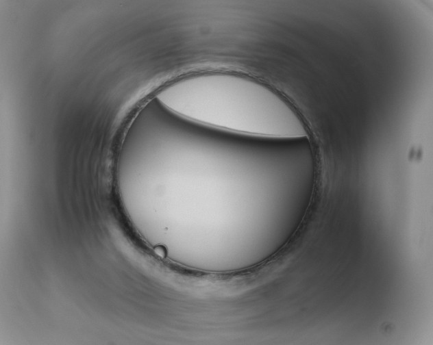 X0000110770016200906151005