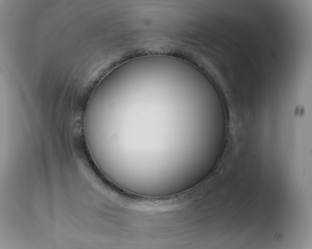 X0000110770017200906151005