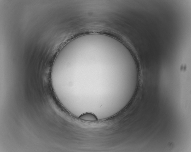 X0000110770018200906151005