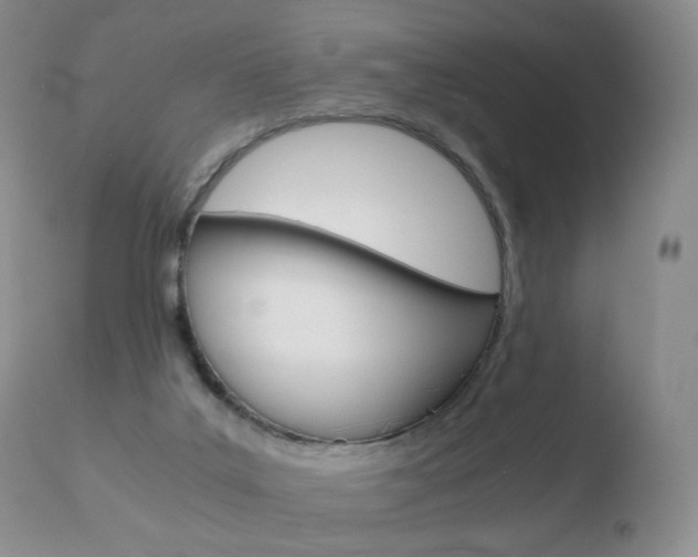 X0000110770019200906151005