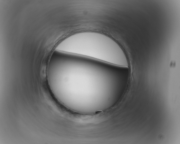 X0000110770021200906151005